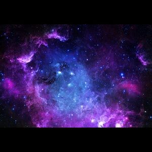 ✨✨✨FLASH SALE✨✨✨